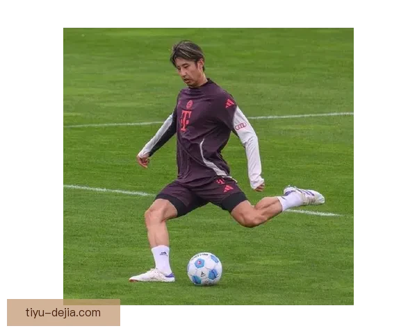 伊藤洋辉：伤势康复期望稳步提升